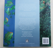 Load image into Gallery viewer, Underwater Photography