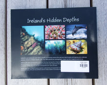 Load image into Gallery viewer, Hidden Depths