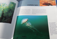 Load image into Gallery viewer, Underwater Photography