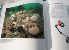 Load image into Gallery viewer, Underwater Photography