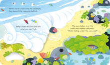 Load image into Gallery viewer, Peep inside the Seashore