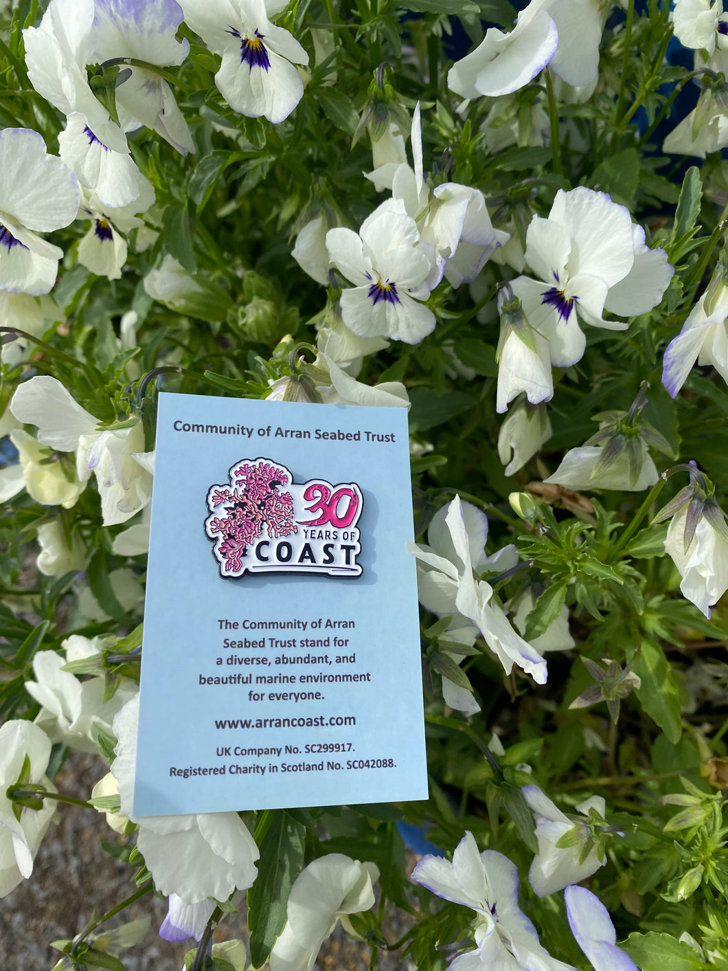 COAST 30th Pin Badge (Limited Edition)