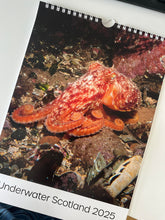 Load image into Gallery viewer, &#39;Underwater Scotland&#39; 2026 Calendar
