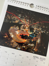 Load image into Gallery viewer, &#39;Underwater Scotland&#39; 2026 Calendar
