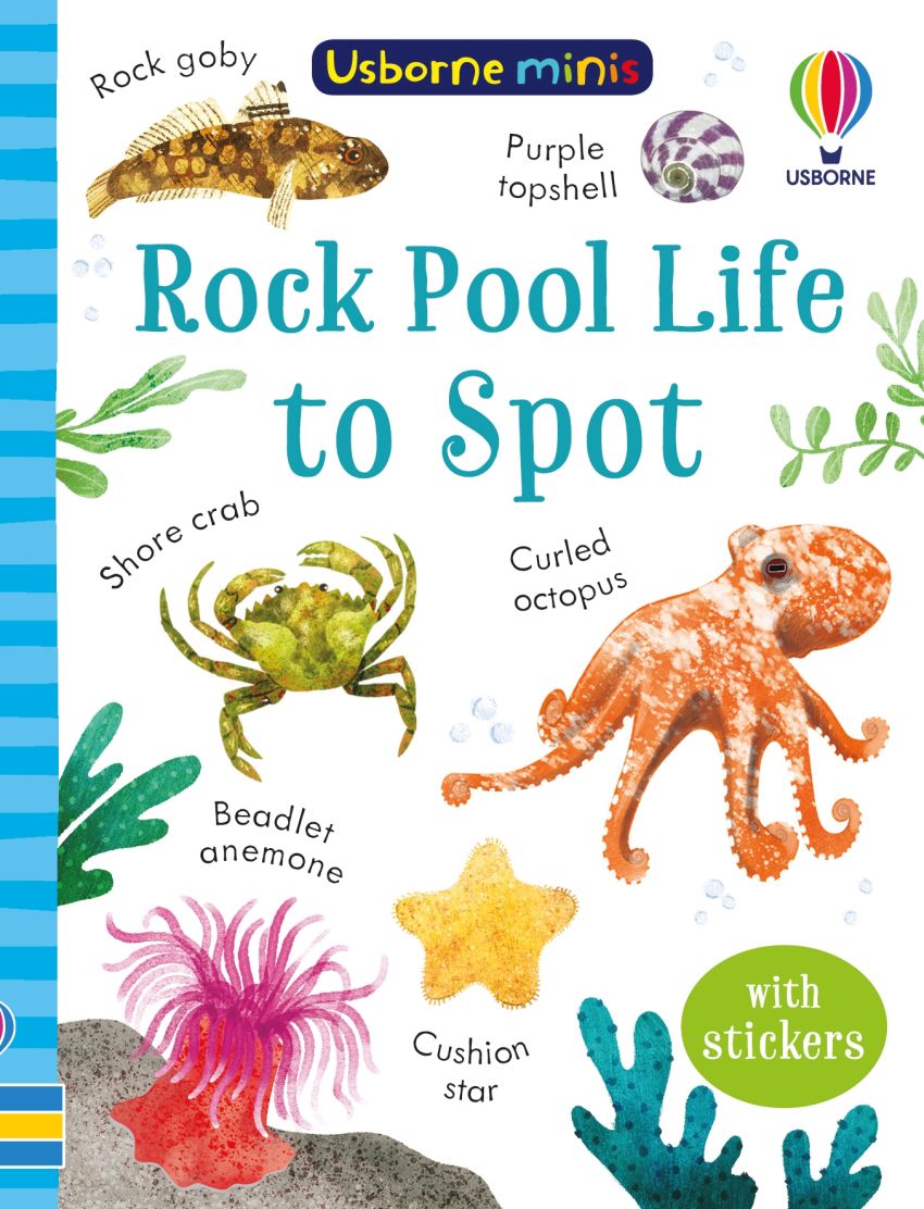 Rock Pool Life to Spot - Mini book