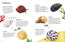 Load image into Gallery viewer, Rock Pool Life to Spot - Mini book
