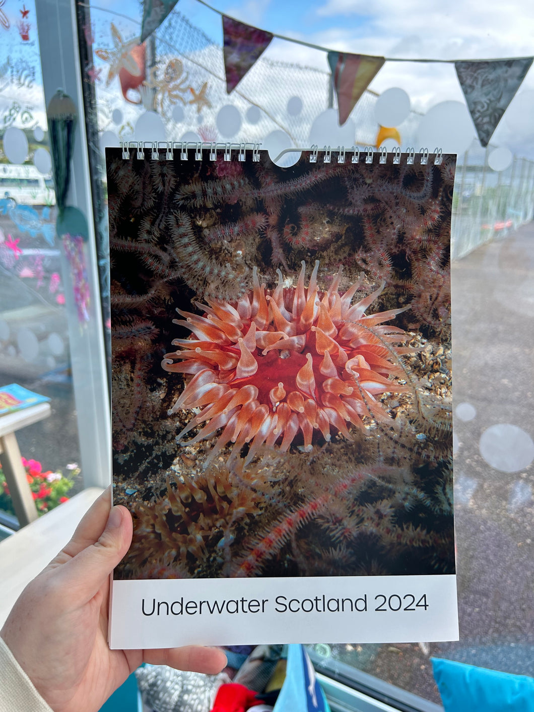 'Underwater Scotland' 2024 Calendar Arran COAST