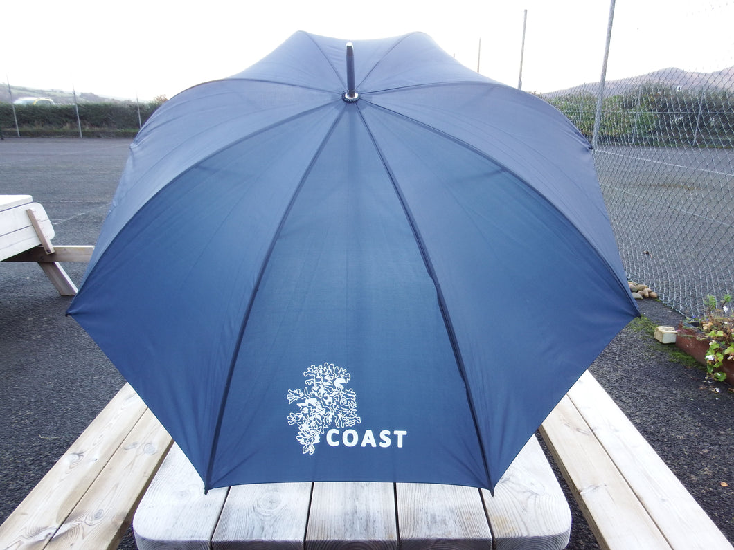 Umbrella