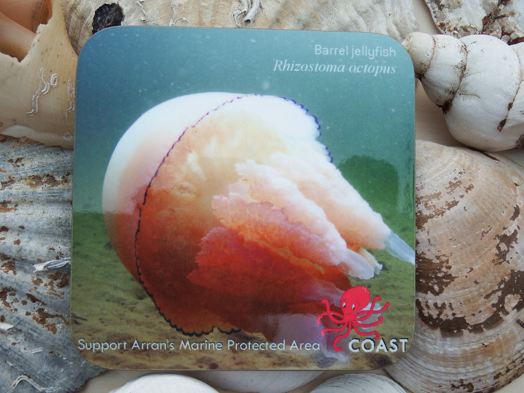 Coasters