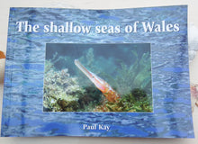 Load image into Gallery viewer, The Shallow Seas of Wales
