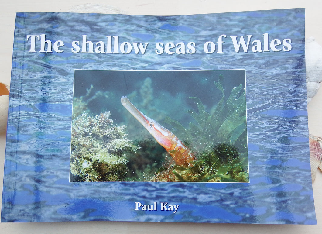 The Shallow Seas of Wales