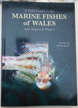 Load image into Gallery viewer, Marine Fishes of Wales
