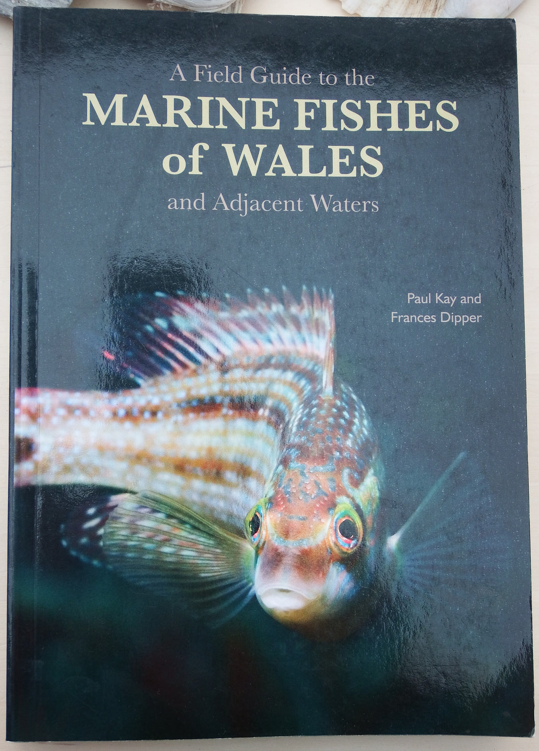 Marine Fishes of Wales