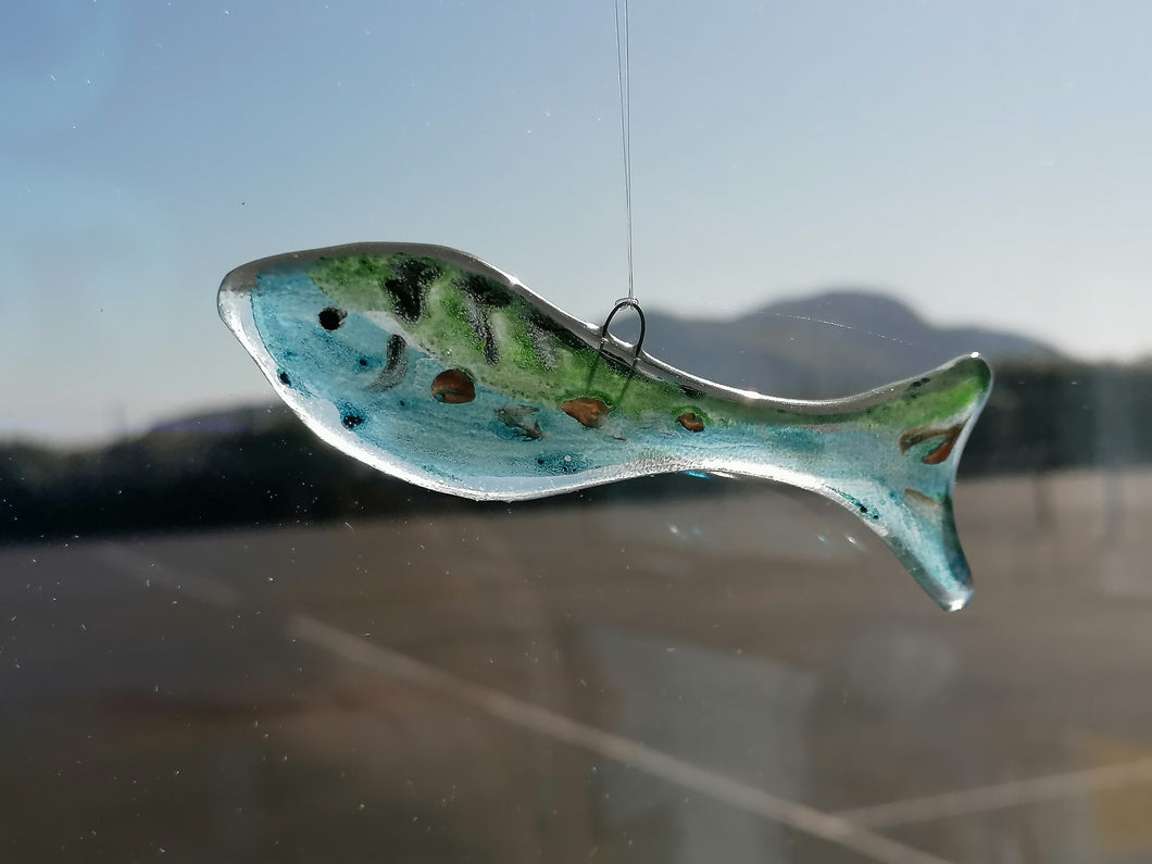 Large Glass Fish